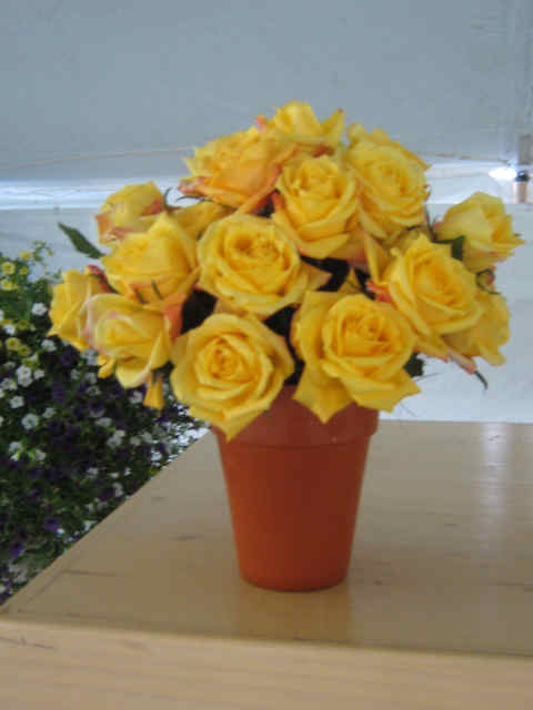 wedding flowers Buffalo, NY