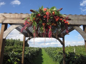 Becker Farms Wedding Flowers Buffalo, NY