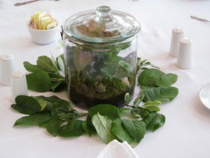 Wedding Flowers Canaslide Lockport Locks