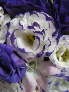 lavendar purple (10)