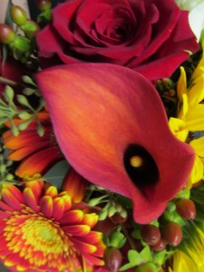 brookfield country club wedding in clarence, ny