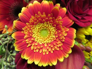 Fall wedding flowers clarence, NY