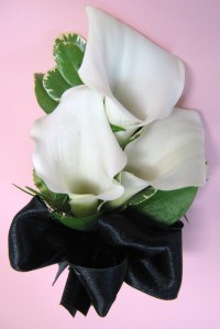 lancaster country club wedding  (8)