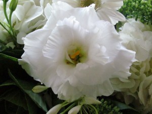 Wedding Flowers Clarence NY