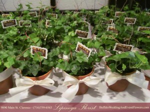 Milo's Williamsville NY Bridal Shower Flowers