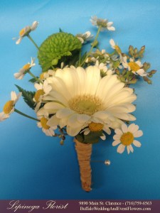 TimberlodgeAkronWedding4